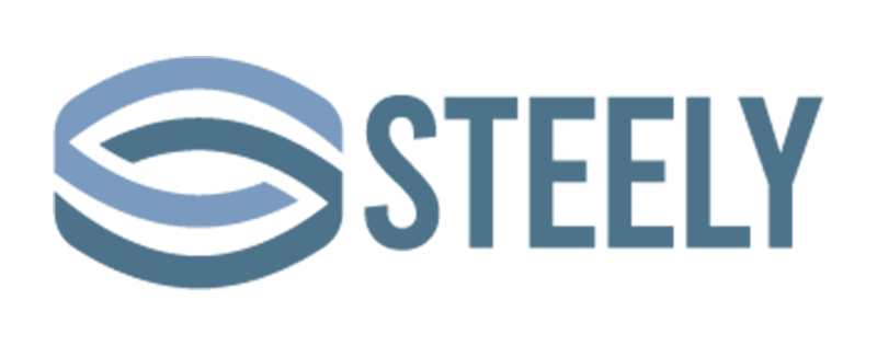 Steely LLC Logo 800x316