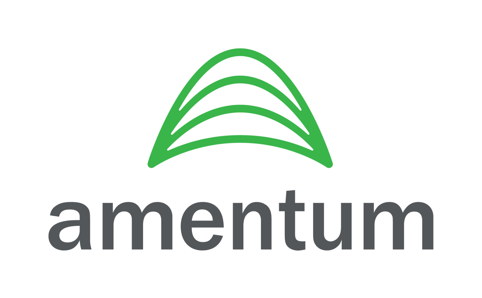 Amentum_Logo-RGB-Full_Color_V (1)