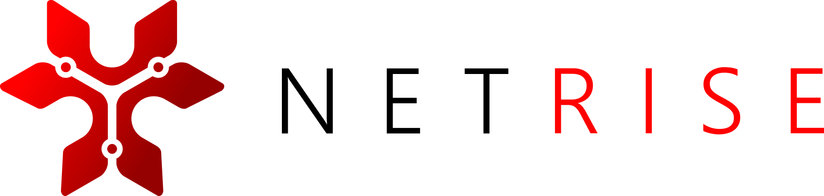 NetRise-Logo-Horz-RGB-Blk